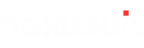 Nexus Suit Logo the Digital Marketing Freelancer in Dubai